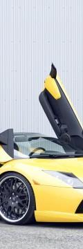 LAMBORGHINI Murcielago Roadster Technical сharacteristics
